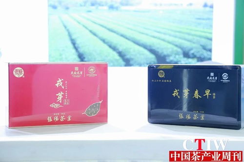 聚焦茶博會 第12屆四川國際茶博會品香茗賞雅器如火如荼，精制茶引領新風尚