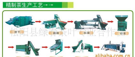 廠家* 跑量 松陽(yáng)白茶 白茶龍井 安吉白茶扁形60元 斤